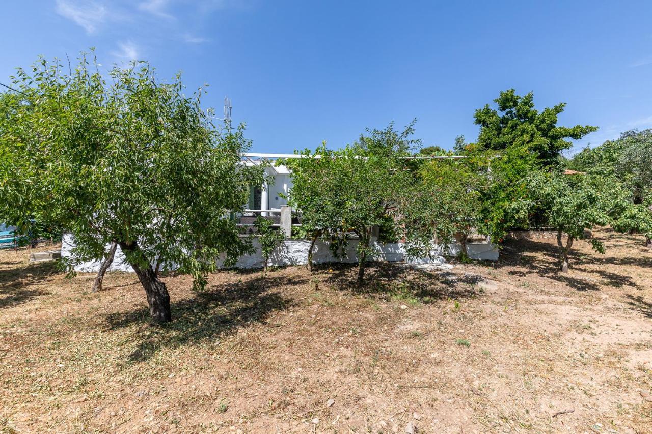 Skopelos Amigdalia Cottage מראה חיצוני תמונה